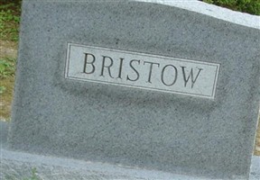 Ellis M. Bristow