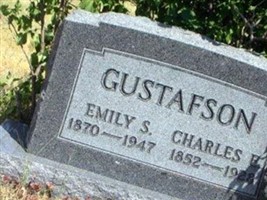 Emily S Gustafson