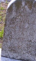 Enola Sparkman