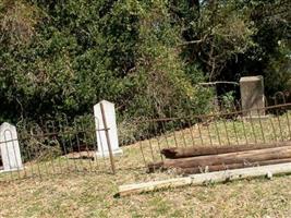Adams Family Cemetery (Willow Spring)