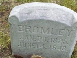 Fanny Bromley