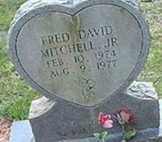 Fred David Mitchell, Jr
