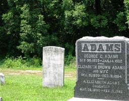George C. Adams