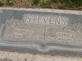George Erin Stevens