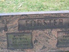 George Forster