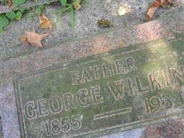 George Henry Wilkins
