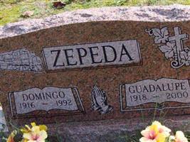 Guadalupe Zepeda