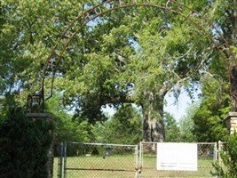 Haig-Rogers Cemetery