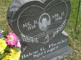 Halene Gonka Plumley Springer