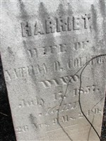 Harriet Treece Collings
