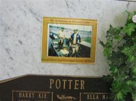 Harry Kie Potter