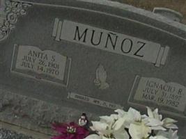 Ignacio R Munoz