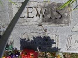 J Melvin Lewis