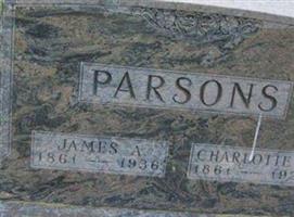 James A Parsons