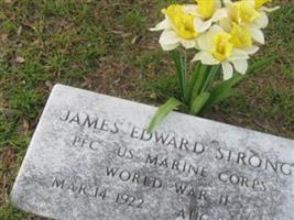 James Edwards Strong