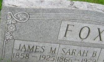James M Fox