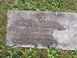 James William Fox