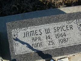 James William Spicer