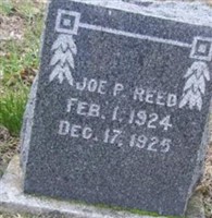 Joe P Reed Joe P Reed