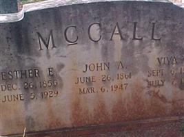 John A. McCall