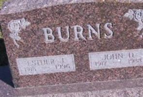 John D Burns