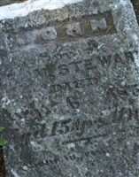 John Steward