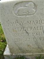 Johny Marion Fitzgerald