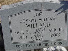 Joseph William Willard