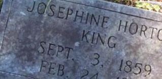 Josephine Ann Horton King
