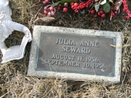 Julie Anne Seward Julie Anne Seward