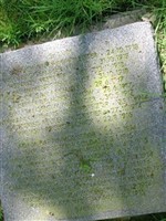 Kriegsfreiwilliger Hugo Hild Kriegsfreiwilliger Hugo Hild