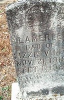 Lamerle Vines