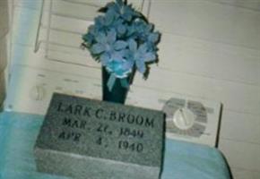 Lark Clarke Broom