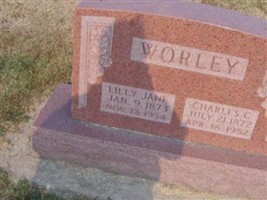Lilley Jane Worley Lilley Jane Worley