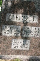 Lillie I Bledsoe