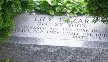 Lily Lazar