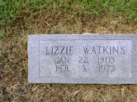 Lizzie Watkins