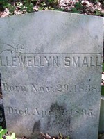 Llewellyn Small