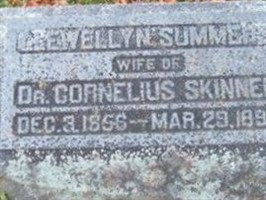 Llewellyn Summers Skinner