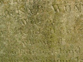 Louisa Barnwell Seabrook Whaley