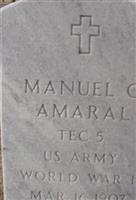 Manuel C Amaral