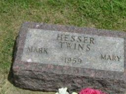 Marc A. Hesser