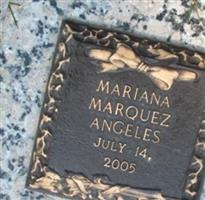 Mariana Marquez Angeles