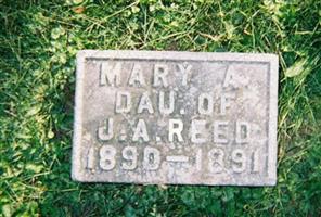 Mary Agnes Reed Reed