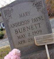 Mary Anderson Payne Burnett