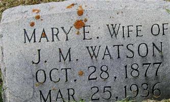 Mary E. Watson