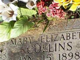 Mary Elizabeth Collins