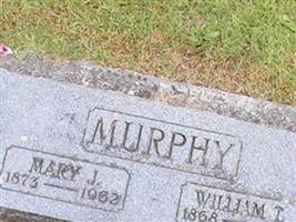 Mary J Murphy