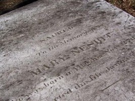 Mary "Polly" Lawless Nesbit