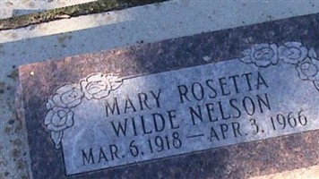 Mary Rosetta Wilde Nelson